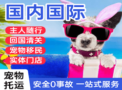北海航空运输国际宠物托运 【国